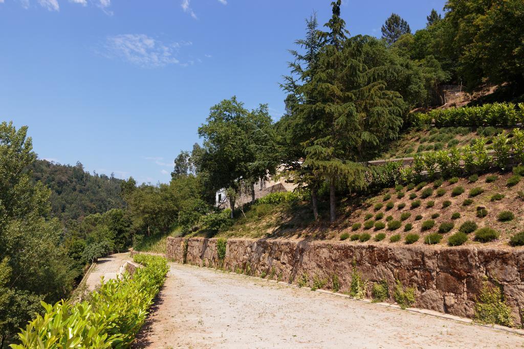 Douro Green Каштелу-де-Пайва Екстер'єр фото