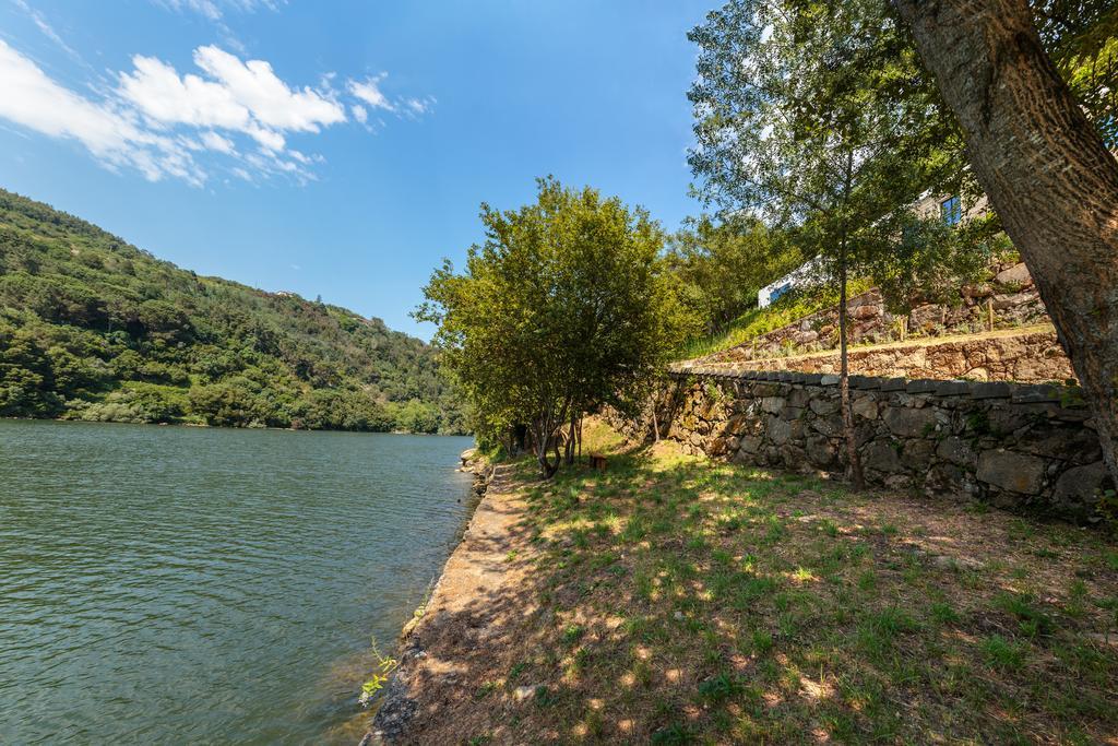 Douro Green Каштелу-де-Пайва Екстер'єр фото